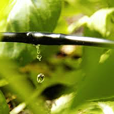 our contractors can also install micro irrigation systems