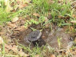 the pooling of water around sprinkler heads is what our Miami irrigation repair team finds most often