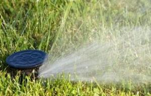 a sprinkler pop up head installed by our Miami irrigation repair techs