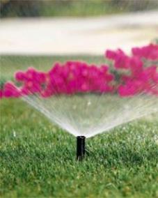 we always carry the best products like this Rainbird sprinkler